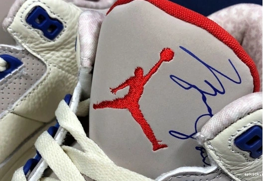 Rep EP 136064-140  Jordan Flight 3 136064-140 Retro International 0223